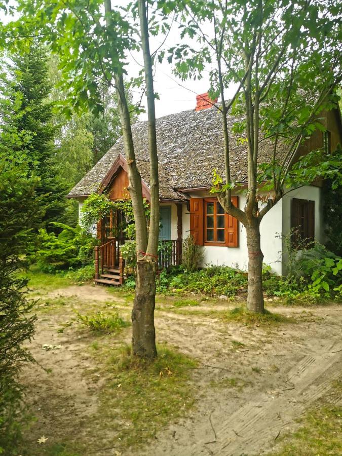 Az Pod Las Zbiczno Экстерьер фото
