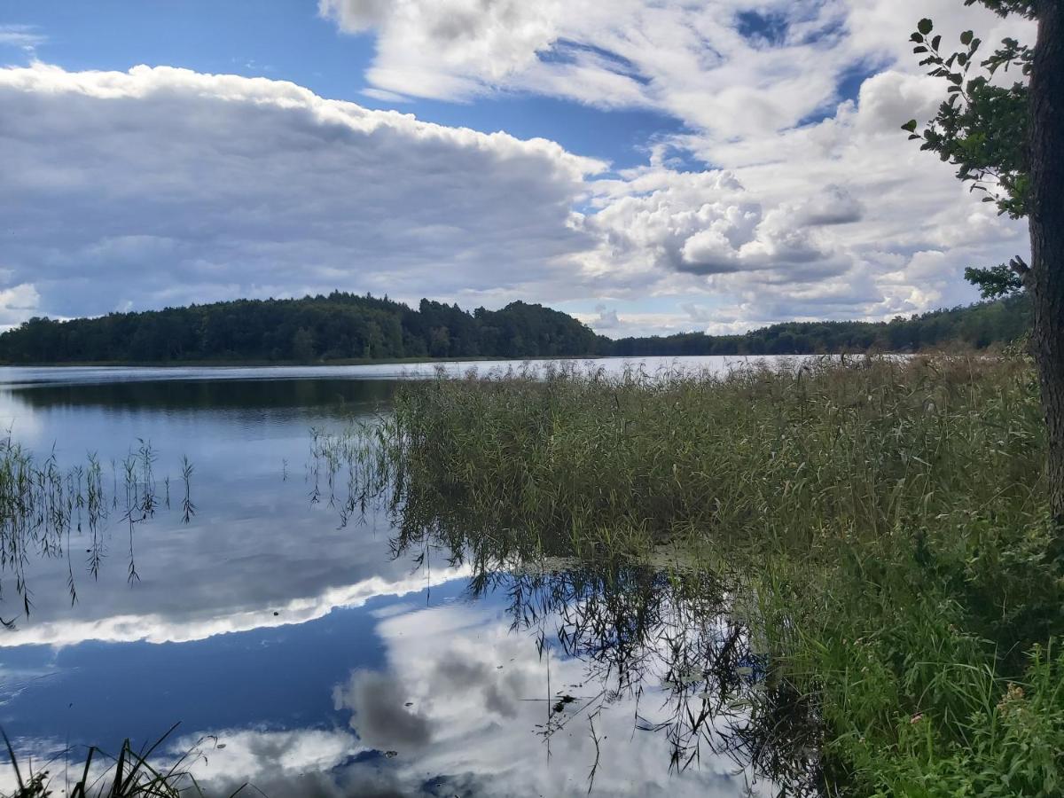 Az Pod Las Zbiczno Экстерьер фото